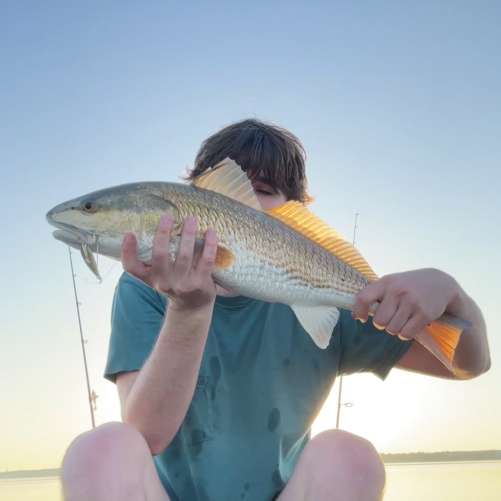 4-Hour Inshore Kayak Fishing Charter