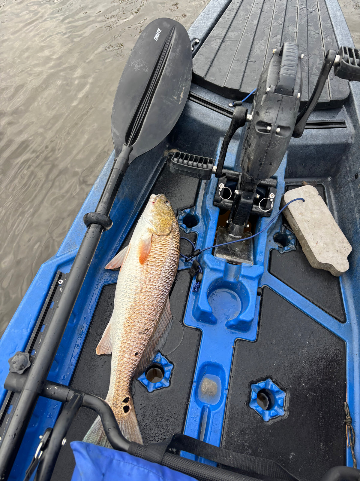 4-Hour Inshore Kayak Fishing Charter