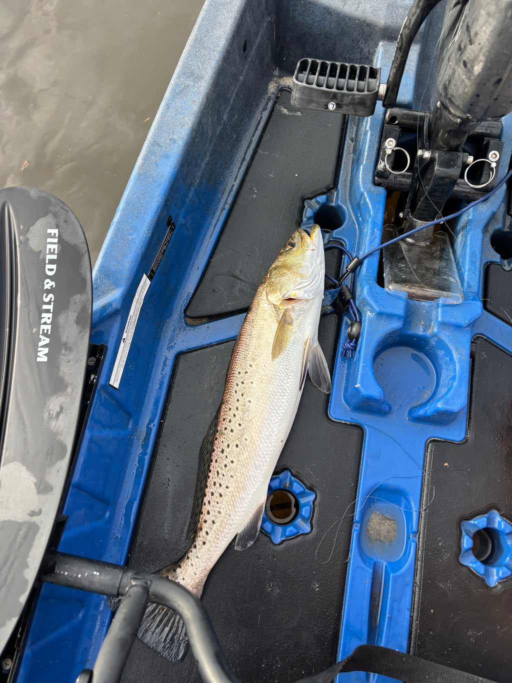 4-Hour Inshore Kayak Fishing Charter