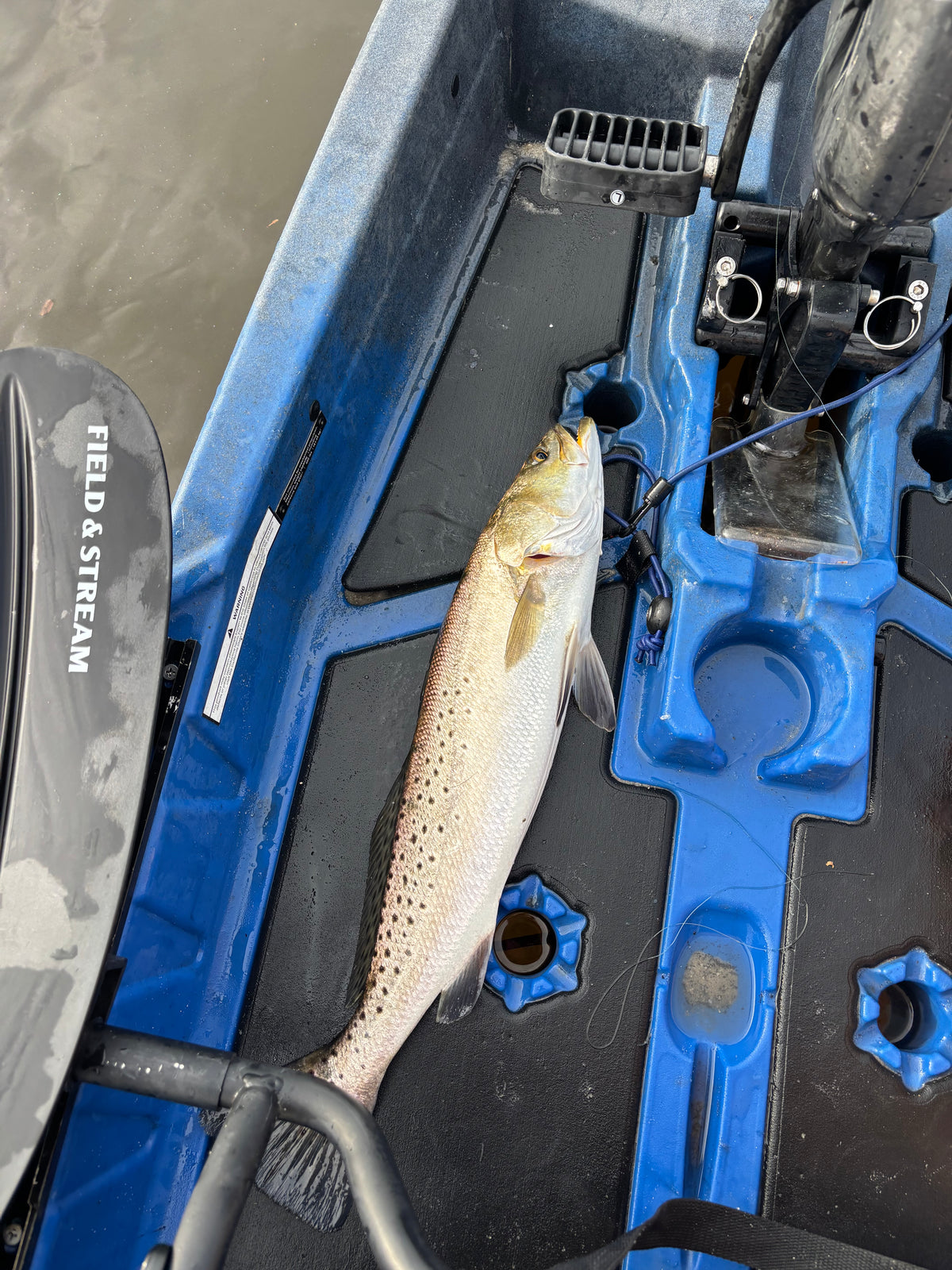 4-Hour Inshore Kayak Fishing Charter