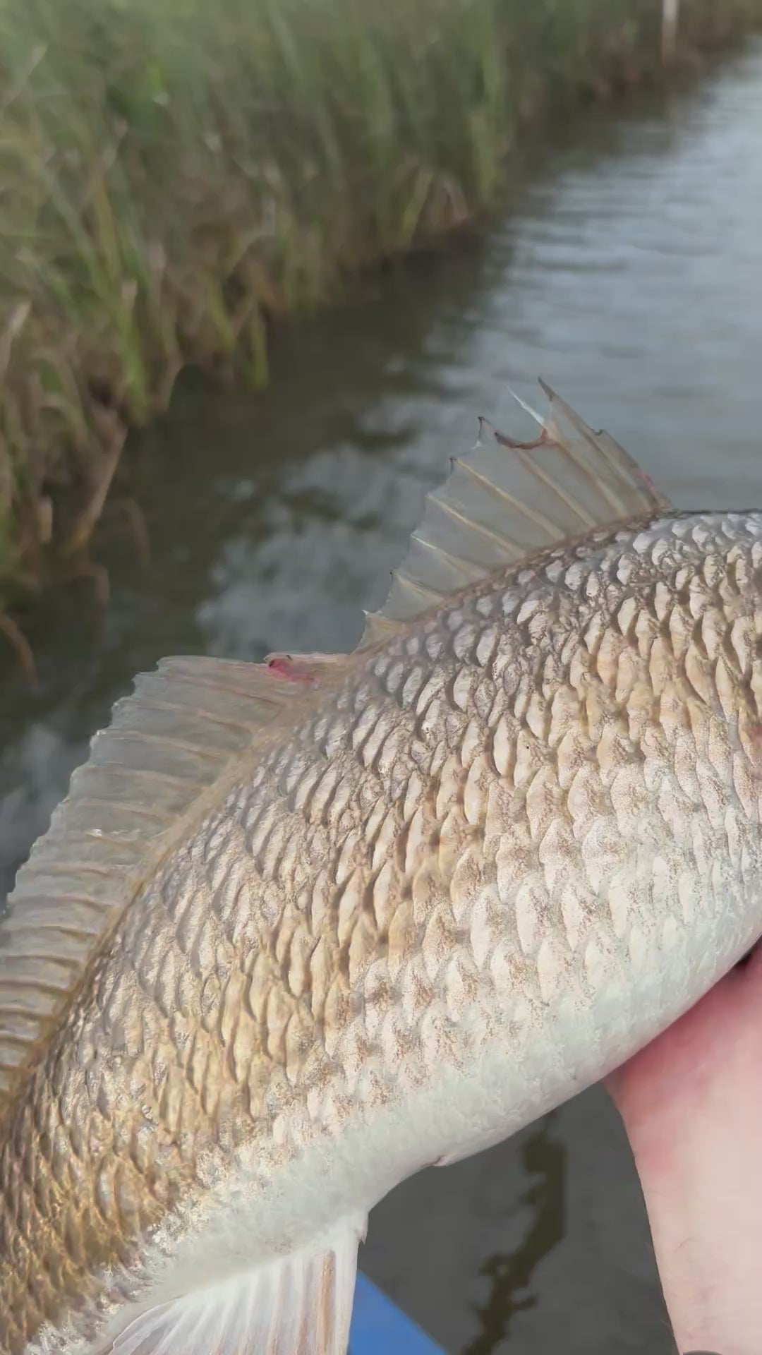 4-Hour Inshore Kayak Fishing Charter